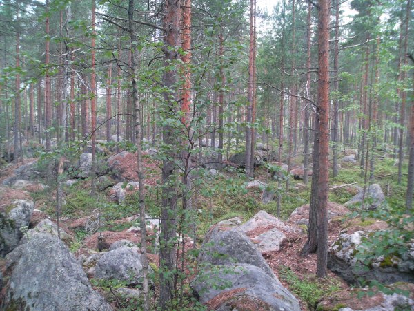 klikkaa ikkuna kiinni