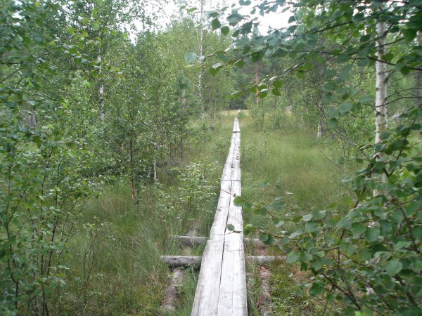 klikkaa ikkuna kiinni