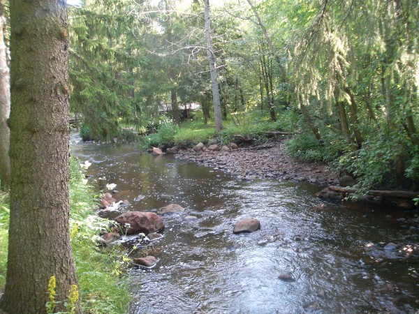 klikkaa ikkuna kiinni