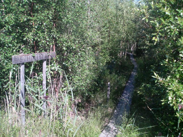 klikkaa ikkuna kiinni