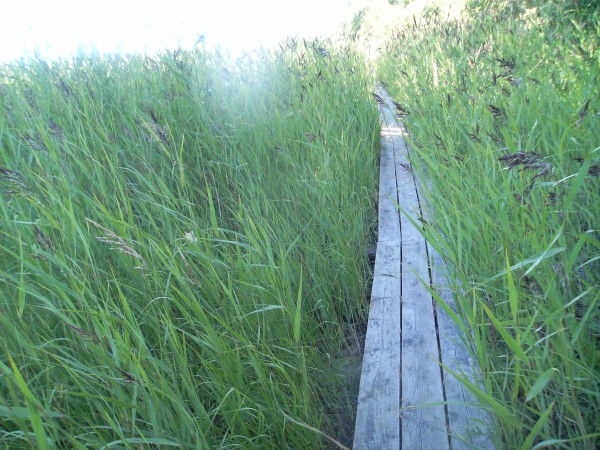 klikkaa ikkuna kiinni