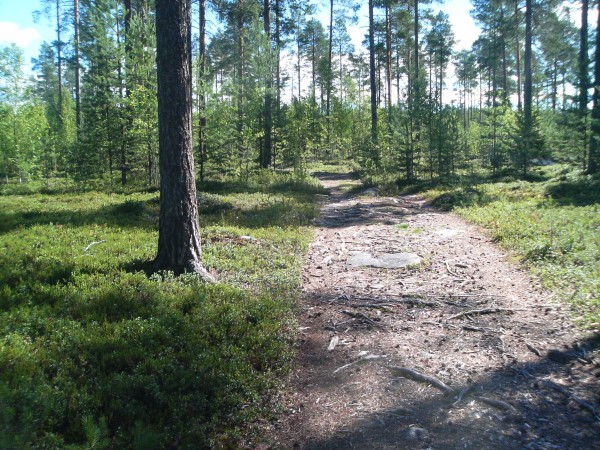 klikkaa ikkuna kiinni