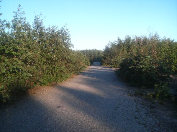 klikkaa ikkuna kiinni