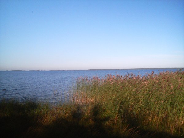 klikkaa ikkuna kiinni