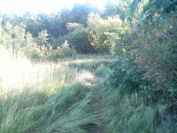 klikkaa ikkuna kiinni