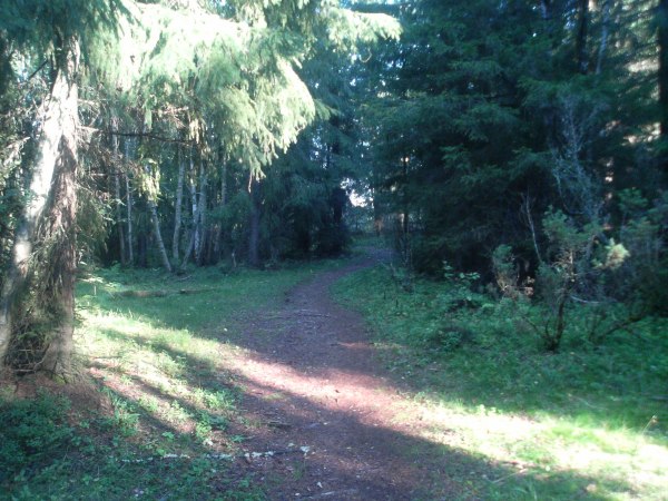 klikkaa ikkuna kiinni