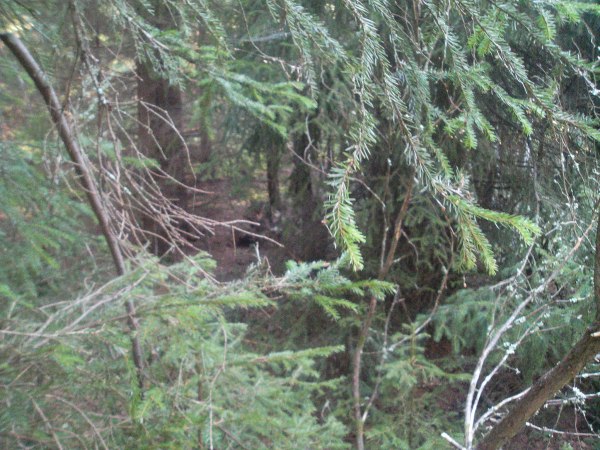 klikkaa ikkuna kiinni