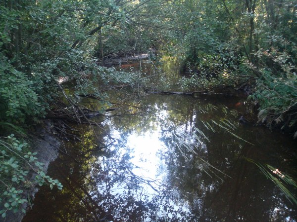 klikkaa ikkuna kiinni