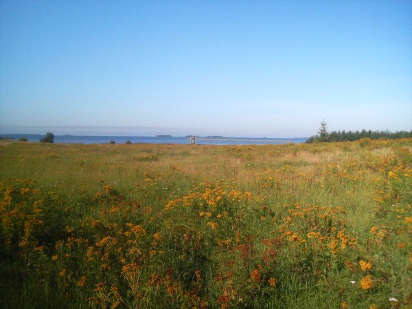 klikkaa ikkuna kiinni