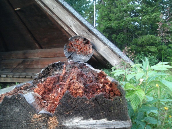 klikkaa ikkuna kiinni